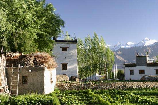 [rtw_adventure.1114178400.20_leh_houses[1].jpg]